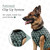 BellyGuard Dog Surgery Recovery Suit, Male Female After Spay Neuter Onesie