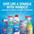 Windex Outdoor Window and Glass Cleaner for Hose Ammonia Free, Concentrated Formula for Deep Outdoor Clean, Patio Cleaner, Compatible With All Hoses, 32 Fl Oz (Pack of 2)
