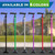 HONEYBULL Walking Cane for Men & Women, Foldable, Free Standing Cane, Black
