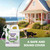 VermExon Peppermint Oil Insect & Pest Control Spray – 128oz Natural Plant-Based Bug Killer for Spiders, Ants, Flies, and Other Insects, Safe for Home & Kitchen Use