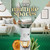 Air Wick Plug in Scented Oil Refill, 5ct, White Sage & Mahogany, Air Freshener, Essential Oils
