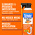 TERRO Drain Insect Killer - T590 Drain Fly Killer Spray - Foam Treatment for Fruit Flies, House Flies, and Cockroaches (Pack of 2)