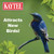 Kaytee Wild Bird Food Mealworms For Bluebirds, Wrens, Robins, Chickadees, Woodpeckers, Cardinals & Chickens, 17.6 Ounce