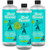 Aunt Fannie's Ultra Concentrated Vinegar Floor Cleaner, Eucalyptus, 3 Pack
