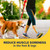 Dr. Scholl's Walk Longer Insoles for Women - Comfortable Plush Foam Cushioning Inserts for Walking, Hiking, Standing on Feet All-Day with Arch Support - Walk 50% Longer Without Muscle Fatigue: 2 Pairs