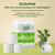 ECOLipak Bamboo Toilet Paper, Septic Safe Toilet Tissue, 24 Double Rolls, 320 Sheets Per Roll, Tree Free, Non Toxic, 2 Ply, Soft and Absorbent, Eco Friendly Dye-Free Paper