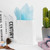 RACETOP Recycled Small White Kraft Paper Bags with Handles