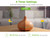 InnoGear Aromatherapy Diffuser & 10 Essential Oils Set, 400ml Diffuser Ultrasonic Diffusers for Home Cool Mist Humidifier with 4 Timers 7 Colors Light Waterless Auto Off, Yellow Wood Grain