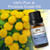 Nirvana Nurture Blue Tansy Essential Oil, USDA Certified Organic, 100% Pure Undiluted, Aromatherapy Oil for Diffuser, Hair & Skin Care
