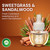 Air Wick Vibrant Plug-In Scented Oil Refills, 10 Count, Sweetgrass & Sandalwood, Air Freshener, Essential Oils, Eco Friendly