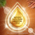 Air Wick Vibrant Plug-In Scented Oil Refills, 10 Count, Sweetgrass & Sandalwood, Air Freshener, Essential Oils, Eco Friendly