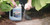 Wet & Forget Outdoor Cleaner & Stain Remover - Mold, Mildew & Algae, 64oz