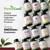 ForestLeaf USDA Organic Beet Root Capsules - Beetroot Supplement 1000mg 20:1 Extract w/Ginger Grape Seed - Support Blood Pressure, Nitric Oxide, Flow, Circulation - Made in USA - 120 Caps