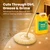 Auralina Mop Soap - Brazilian Waves Concentrated Floor Cleaner