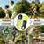 ORHILYA 240lbs+ Arch Support Insert Plantar Fasciitis Pain Relief Insole