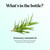 Pure Rosemary Essential Oil Bulk Size - Undiluted Rosemary Oil for Hair Skin and Nails and Refreshing Aromatherapy Oil for Diffusers - Cleansing Rosemary Essential Oil for Dry Scalp Care 8oz