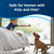 Bissell DeepClean + Refresh with Febreze Freshness Spring & Renewal Formula,1052A,60 Ounces,(Pack of 2)
