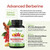 ForestLeaf Berberine Supplement - 1300mg per Serving - Ultra High Potency Berberine HCl with Ceylon Cinnamon, Bitter Melon & Gymnema - GLP-1 Weight Management Support - 180 Caps