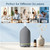 Gooamp 200ML Ceramic Essential Oil Diffuser for Home, Stone Diffuser