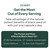 Organics Ocean Better Black Seed Oil Cold Pressed - Pure Nigella Sativa Oil for Immune Support - 5% Thymoquinone - Support Memory, Vitality, and Cellular Health