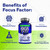 Focus Factor Adults Extra Strength, 120 Count - Brain Supplement for Memory, Concentration and Focus - Complete Multivitamin with DMAE, Vitamin D, DHA - Trusted Health Vitamins