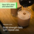 Momentous Vegan Protein Powder, 20g Pea & Rice Blend Protein, Vanilla Spice