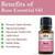 Nirvana Nurture Rose Essential Oil, 100% Pure Undiluted, Aromatherapy Oil for Diffuser, Hair & Skin Care