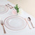 I00000 60 Pcs Rose Gold Plastic Plates, Disposable Party Set Include: 60 Clear Plastic Plates with Rose Gold Trim for dinner and dessert Perfect for Holidays, Wedding & Party Supplies (Pack of 2)