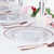 I00000 60 Pcs Rose Gold Plastic Plates, Disposable Party Set Include: 60 Clear Plastic Plates with Rose Gold Trim for dinner and dessert Perfect for Holidays, Wedding & Party Supplies (Pack of 2)