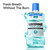 Listerine Cool Mint Alcohol Free Mouthwash, Mild Mint, 16.9 fl. oz/500 mL
