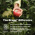 Bragg Energy Apple Cider Vinegar Capsules B Vitamins 90ct - 2 Pack