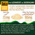 SOLO Organic Pea Protein Isolate, Unflavored Vegan Protein Powder (2.7 lbs)