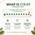 Pentadecanoic Acid Capsules, C15:0 Fatty Acid Supplement, Plant-Based Formula for Healthy Aging & Cellular Wellness Support, Daily Fatty Acid Supplement, 90 Vegan Capsules