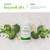 USANA - Hepasil DTX with InCelligence - 84 Tablets - 28-Day Supply