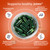 Santo Remedio Articulaciones, Joint Health Support, Promotes Joint Comfort and Function, Contains Clinically Proven Ingredients, TamaFlex™, 30 Servings