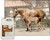 UltraCruz® Equine Pure Flax Oil, 1 Gallon