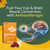LYTTON EyeQ Duo Digital Eye & Focus Support – Patented Anthochlorogin for Brain-Eye Connection, Promotes Ocular Vitality – Rapid Visual Comfort & Natural Formula for Screen Users, 60 Softgels
