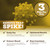 Black Forest Spike Shield 7-In-1 Formula Wellness Supplement – Nattokinase 8000 FU, Bromelain 500mg, Curcumin, Quercetin, NAC, Zinc – Comfort & Antioxidant Support – Non-GMO, Gluten-Free – 90 Capsules