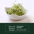 Eclectic Herb, Organic Broccoli Sprouts Powder Supplement, 4.3 oz