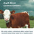 Ancient Nutrition Grass Fed Bovine Colostrum Superfood Powder, Unflavored