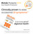 BioGaia Kids Probiotic Chewables | Promote Regularity | Ease Occasional Tummy Troubles | Ages 3+ | Allergen, Dairy, Soy & Gluten Free | Backed by 30 Years of Probiotic Research | 90 Day Supply
