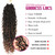 SamBraid 8 Packs Goddess Faux Locs Crochet Hair for Black Women