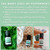 Peppermint Essential Oil 120mL by Revive Essential Oils - 100% Pure Therapeutic Grade, for Diffuser, Humidifier, Massage, Aromatherapy, Skin & Hair Care