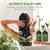 Roycederm Tea Tree Antifungal Shampoo and Conditioner: Complete Scalp Care Solution for Folliculitis, Dry, Itchy, and Flaky Scalp - Infused with Tea Tree Oil, Paraben & Sulfate Free