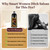 Dark Coffee Hair Dye Shampoo 3 in 1 for Gray hair, Natural Color Shampoo