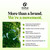 Maple Holistics Tea Tree Oil Shampoo Sulfate Free - Deep Cleansing Vegan Tea Tree Shampoo for Oily Hair and Scalp - Daily for Build up with Rosemary Essential Oil for All Hair Types 25 Fl Oz