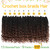 Fulcrum Goddess Box Braids Crochet Hair 12 Inch,9 Packs Boho Box Braid Crochet Hair for Women,Pre-looped Bohemian 3X Crochet Braiding Hair with Curly Ends(12Inch, 1B/4/30#)