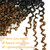 Aksice Pre-looped Yanky Twist Crochet Hair 8 in 8-Pack for Black Women OT30