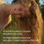 Briogeo Destined for Density Caffeine + Biotin Peptide Density Conditioner