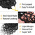 Col Bling Pre-Looped Goddess Locs Crochet Hair 14 in 8-Pack for Black Women